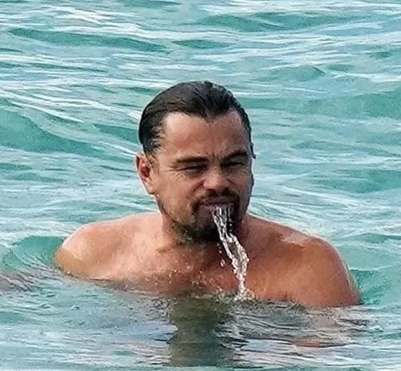 leonardo dicaprio meme 39