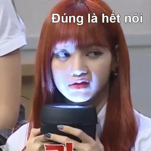 lisa meme 36