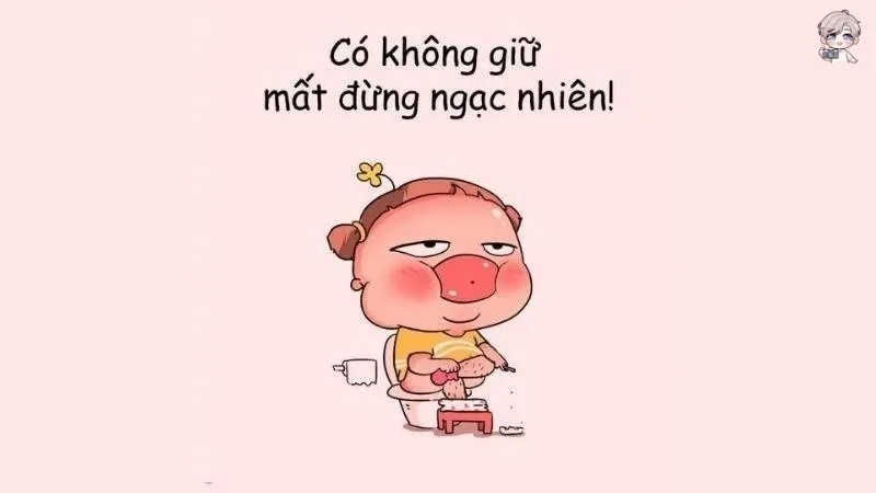 Tổng hợp 99+ meme ảnh troll thú vị, hài hước và độc đáo nhất