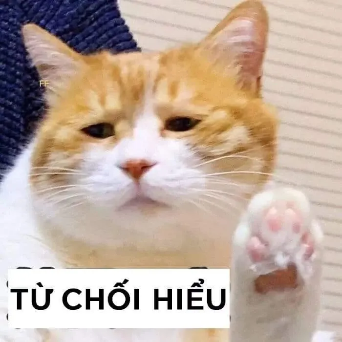 meme bất lực 20