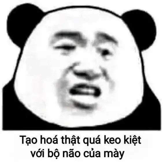 meme bất lực 40