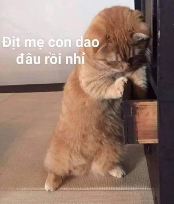 meme cầm dao 31