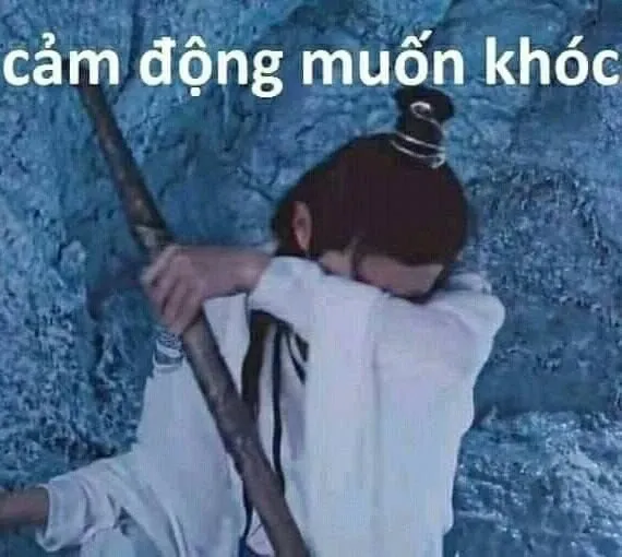 meme cảm động 14