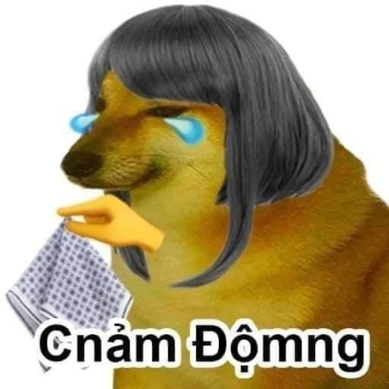 meme cảm động 32