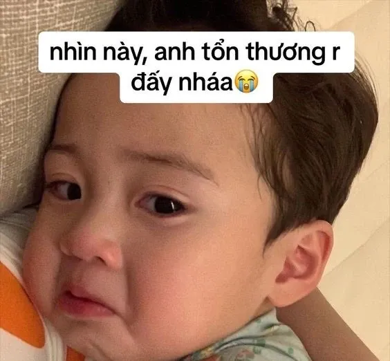 meme cảm động 38