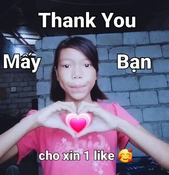 meme cảm ơn 2