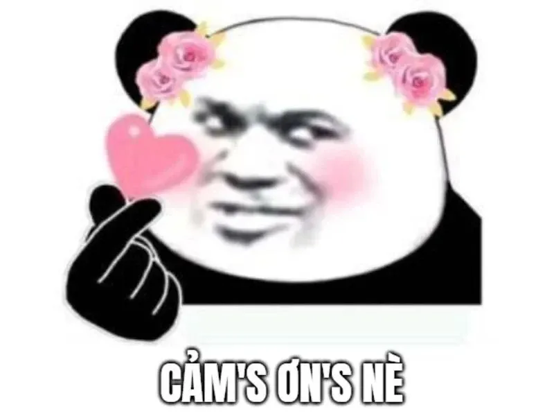 meme cảm ơn 9