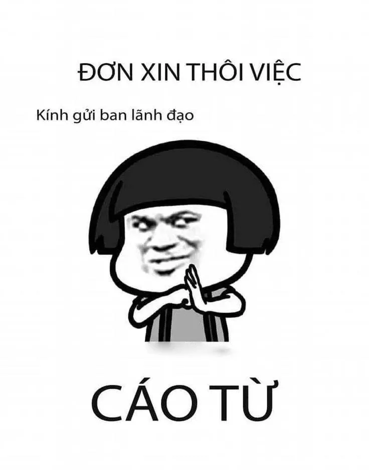 meme cáo từ 27