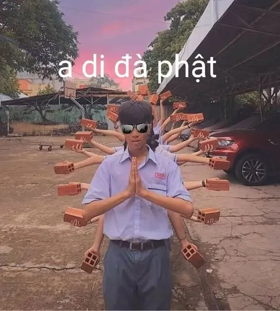 meme cáo từ 31