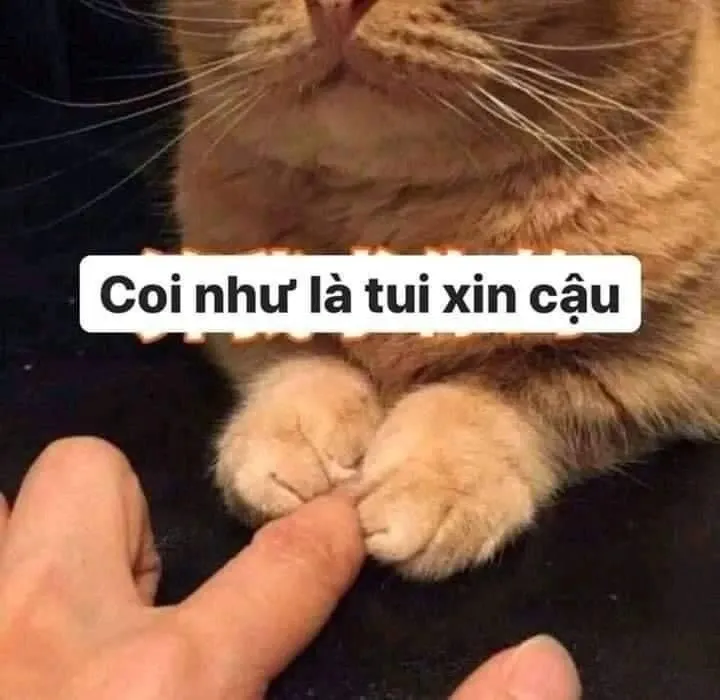 meme cầu xin 2