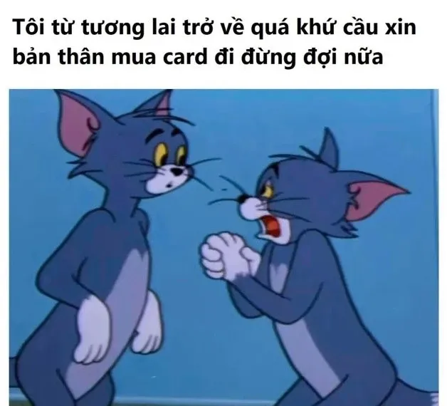 meme cầu xin 6