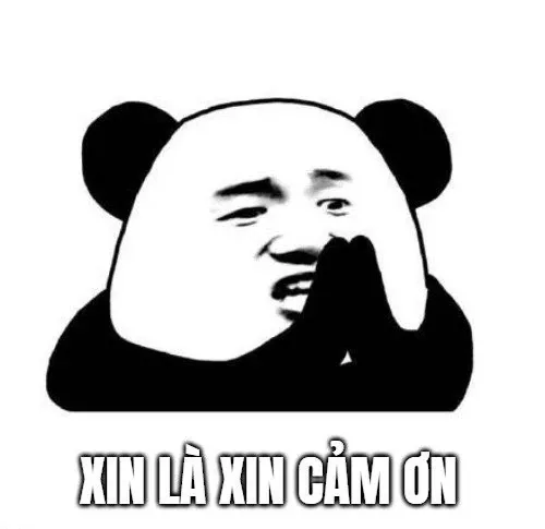 meme cầu xin 13