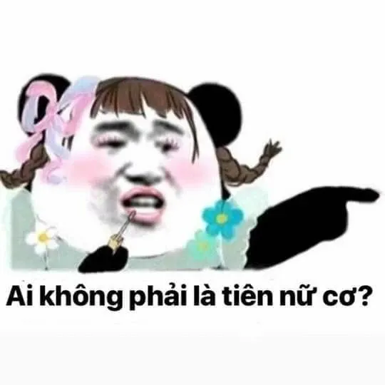 meme chỉ tay 24