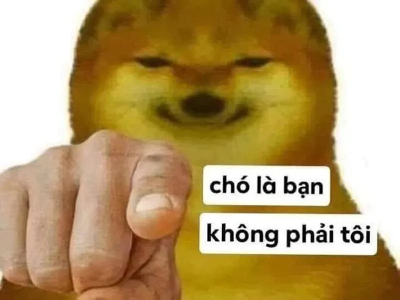 meme chỉ tay 30