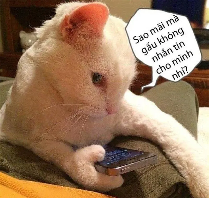 meme chờ đợi 8