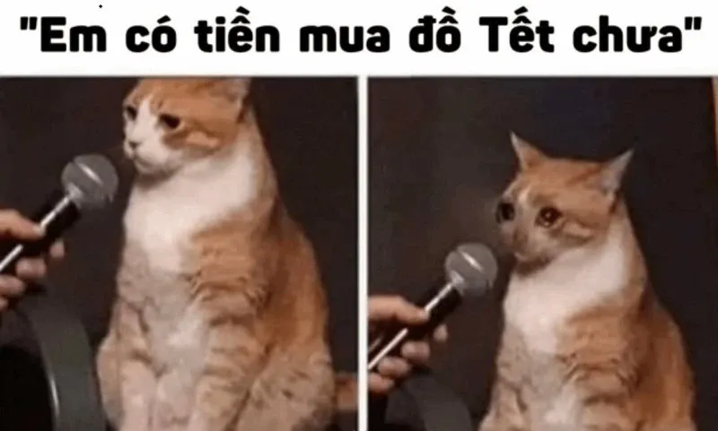 meme chúc mừng năm mới 27