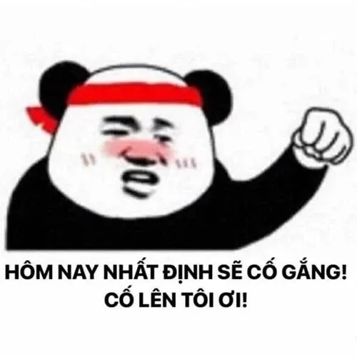 meme cố lên 20