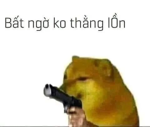 meme đấm nhau 14