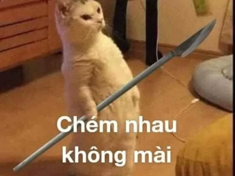 meme đấm nhau 31