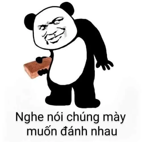 meme đấm nhau 34