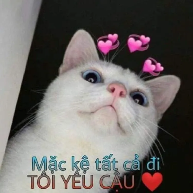 meme đáng yêu 33