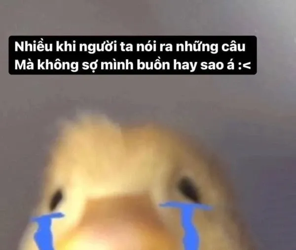 meme đau khổ 13