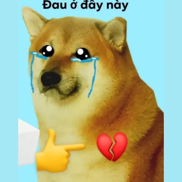 meme đau ở đây này 5