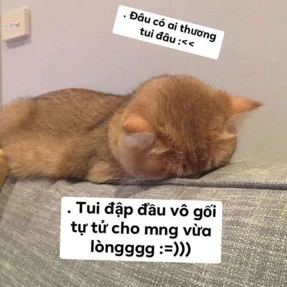 meme đau ở đây này 34