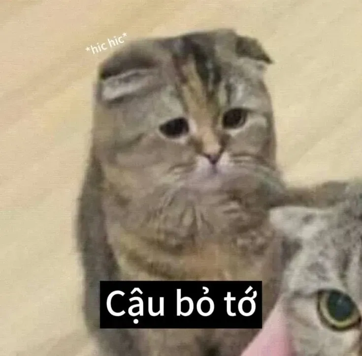 meme đau tim 25