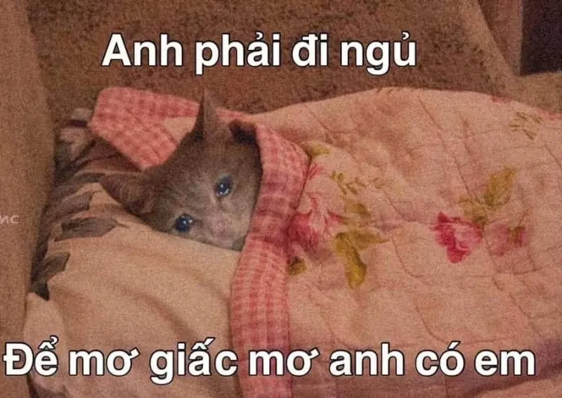 meme đi ngủ 17