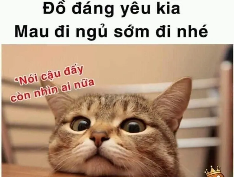 meme đi ngủ 28