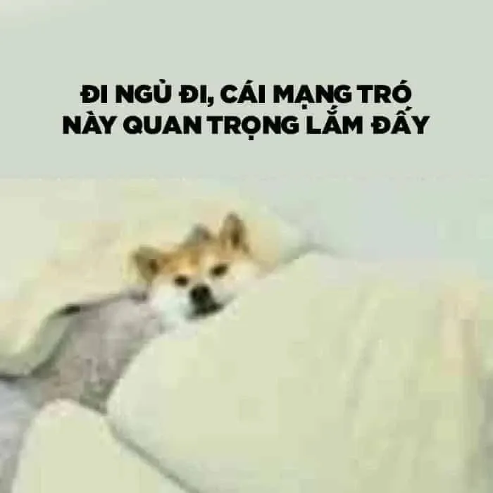 meme đi ngủ 29