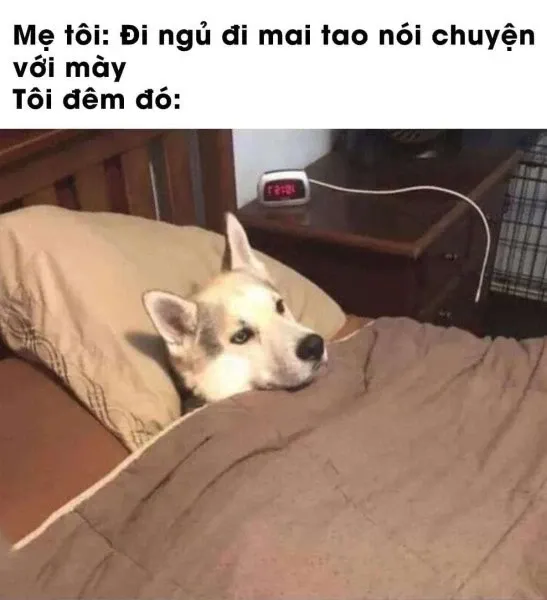 meme đi ngủ 30