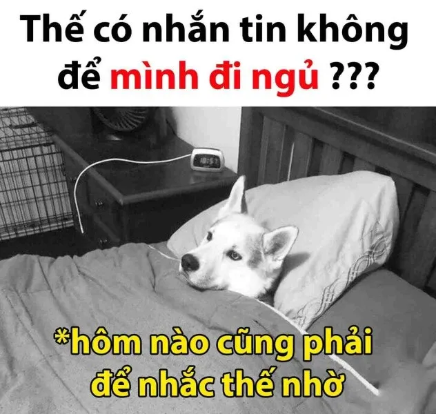 meme đi ngủ 31