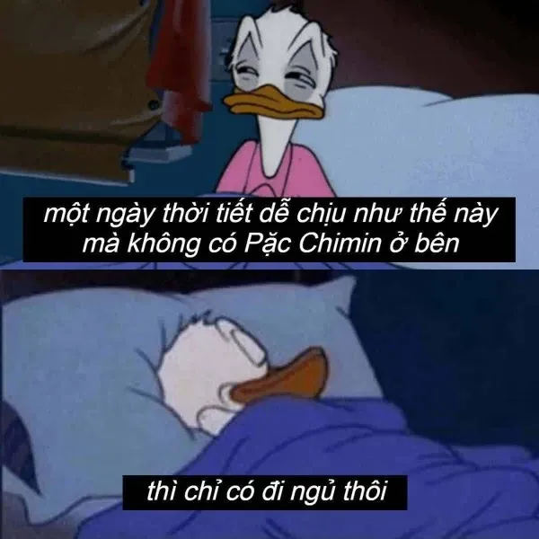 meme đi ngủ 32