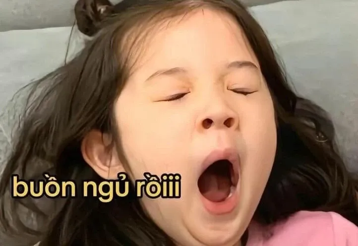 meme đi ngủ 40