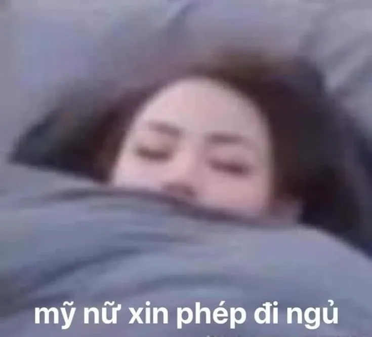 meme đi ngủ 42