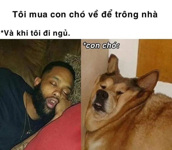 meme đi ngủ 44