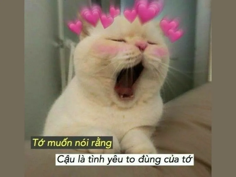 meme dỗ người yêu 27