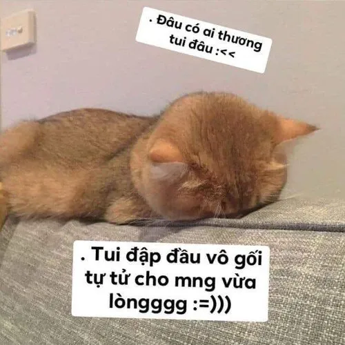 meme dỗi 18