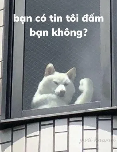 meme động vật 7