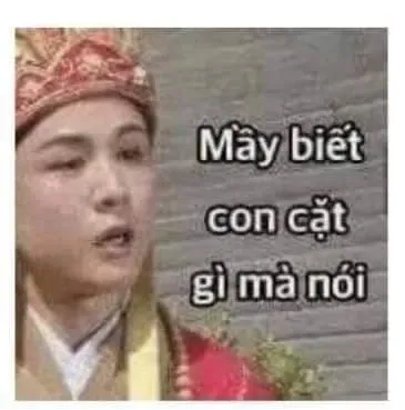 meme đường tăng 7