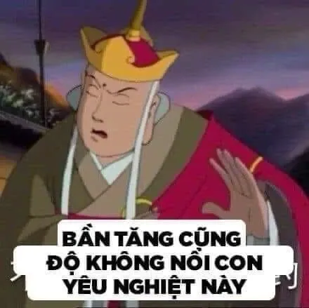 meme đường tăng 23