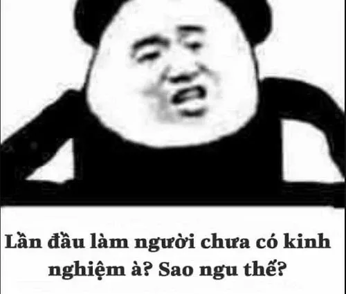 meme gấu trúc 4