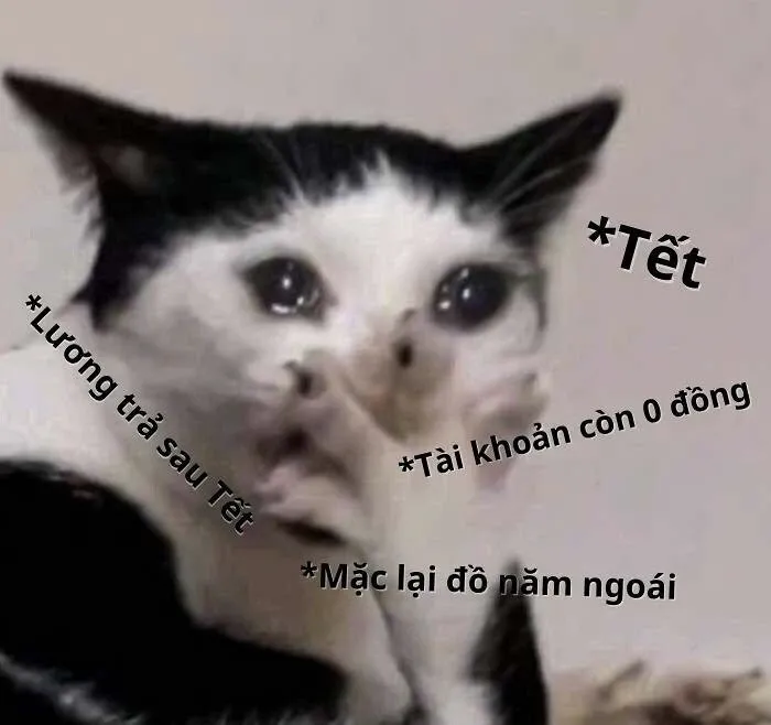 meme hết tiền 4