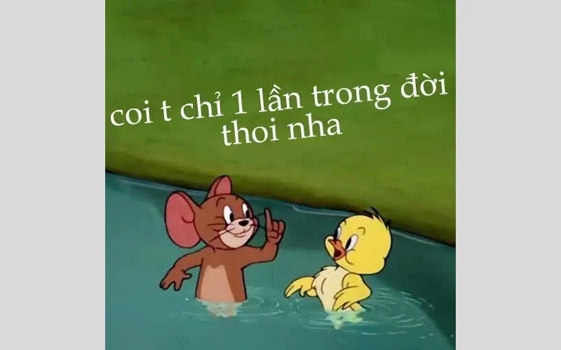 meme hoạt hình 30