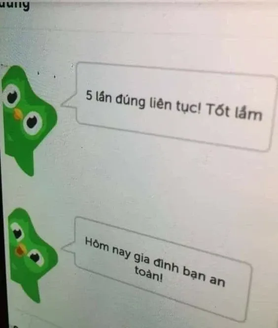 meme học bài 16