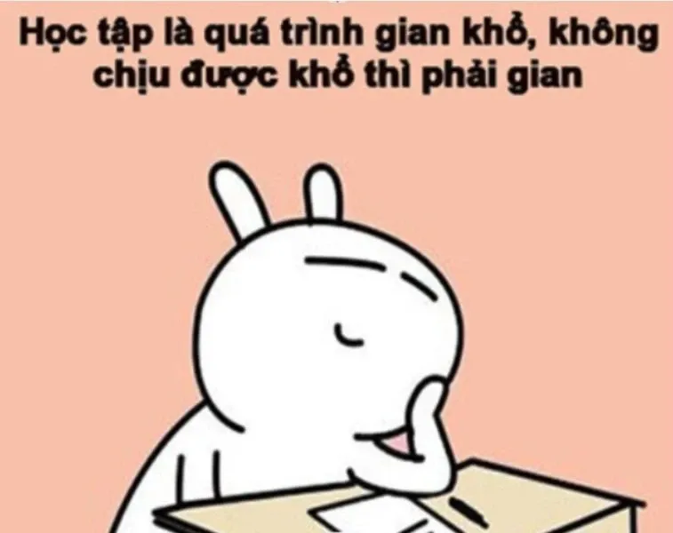 meme học bài 29