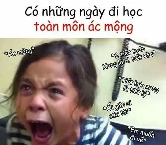 meme học bài 42