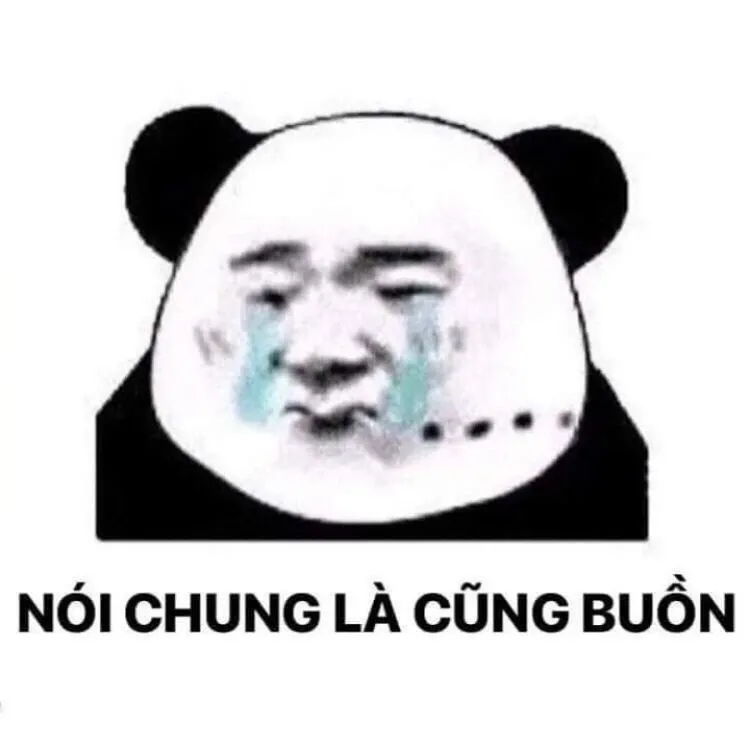 meme khịa 14